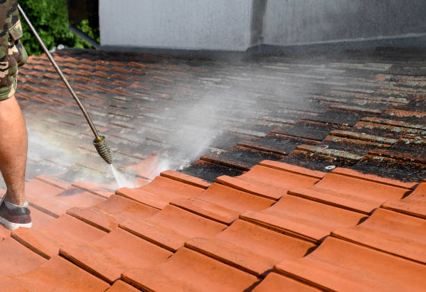 Best Exterior Home Cleaning  in Warrensburg, IL