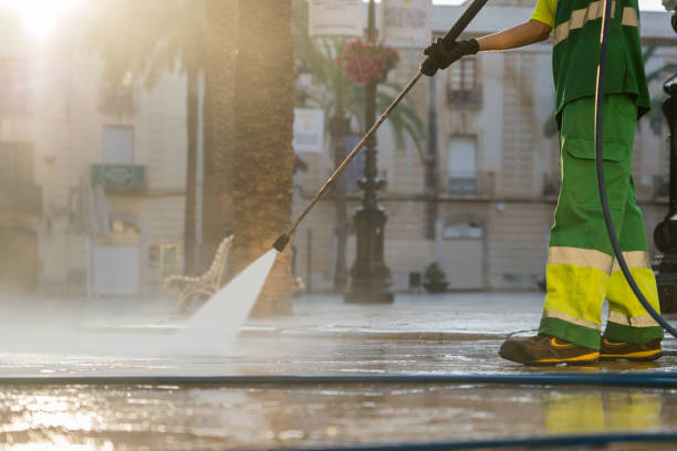Best Best Pressure Washing Companies  in Warrensburg, IL